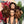 BeQueen 99,9€=1 wigs “Helo” Bob Bouncy curly 13x4 frontal