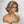 BeQueen 99,9€=1 perruques sans colle 