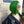 BeQueen Bob Lace Front Perücke 13x4 glattes Haar, individuelle Farbe Grün und Schwarz 