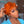 Bequeen Perruque “Chioma” Pixie noir curly sans colle Prêt à porter couleur orange