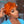 Bequeen Wig 
