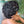 BeQueen Perruque “Cynthia” Pixie avec Lace 13x4