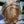 BeQueen Natural wave wig Gradient cut 13x4 lace frontal Color Honey Brown #P4/27/30 and Caramel Highlighted Brown #P7/31