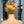 BeQueen Pixie Perücke mit Sassoon Curl T-Teil Wurzel Schwarz und Honig 