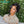 BeQueen “Pilar” Black Wedding Wig Bun with Lace Front 13x4