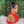 BeQueen “Raquel” Perruque de mariage noir Chignon avec Lace Frontale 13x4