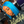 BeQueen Perruque Bob Colorée Lisse T part/Closure