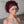 BeQueen “sylvia” Wig with Braid 