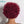 BeQueen Wig 