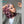 BeQueen “Lindsay” Bob Egg Wave Wig with 13X4 Lace Front Pink mix Blonde