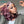 BeQueen “Lindsay” Bob Egg Wave Wig with 13X4 Lace Front Pink mix Blonde