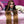 Rainha Perruque 